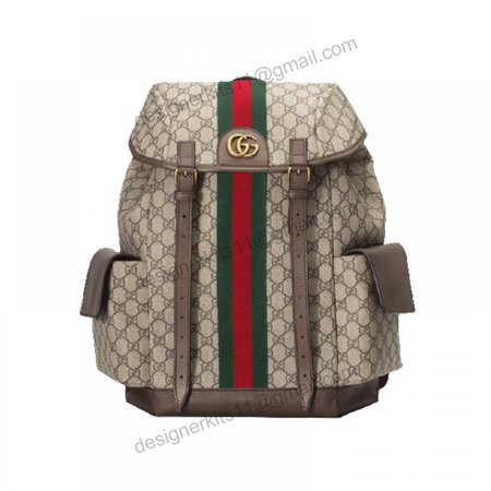 Gucci Ophidia Gg Backpack - GBP107